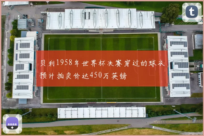 贝利1958年世界杯决赛穿过的球衣预计拍卖价达450万英镑